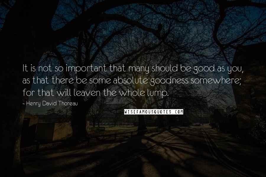 Henry David Thoreau Quotes: It is not so important that many should be good as you, as that there be some absolute goodness somewhere; for that will leaven the whole lump.