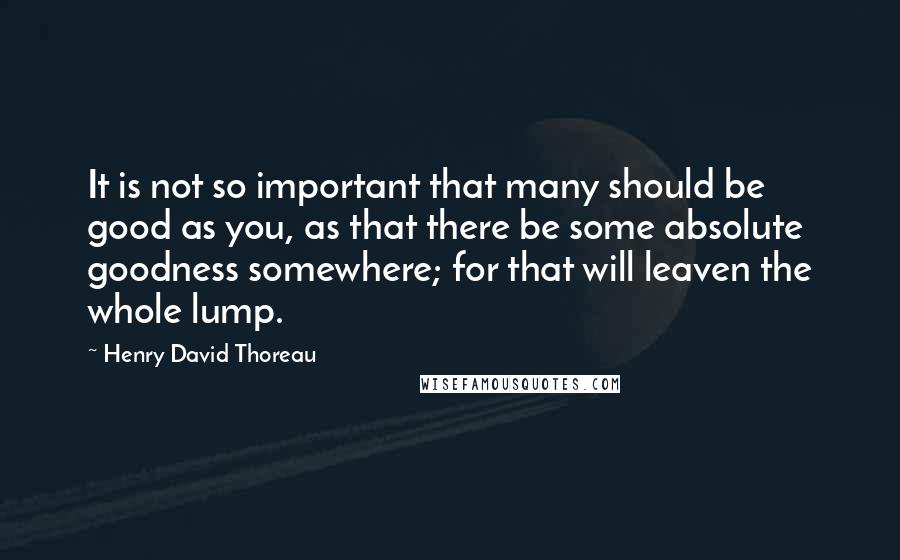 Henry David Thoreau Quotes: It is not so important that many should be good as you, as that there be some absolute goodness somewhere; for that will leaven the whole lump.