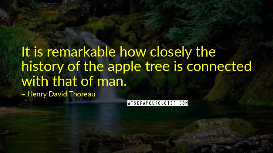 Henry David Thoreau Quotes: It is remarkable how closely the history of the apple tree is connected with that of man.