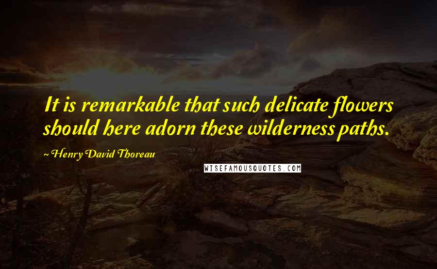 Henry David Thoreau Quotes: It is remarkable that such delicate flowers should here adorn these wilderness paths.