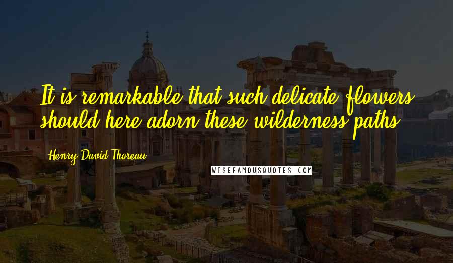 Henry David Thoreau Quotes: It is remarkable that such delicate flowers should here adorn these wilderness paths.