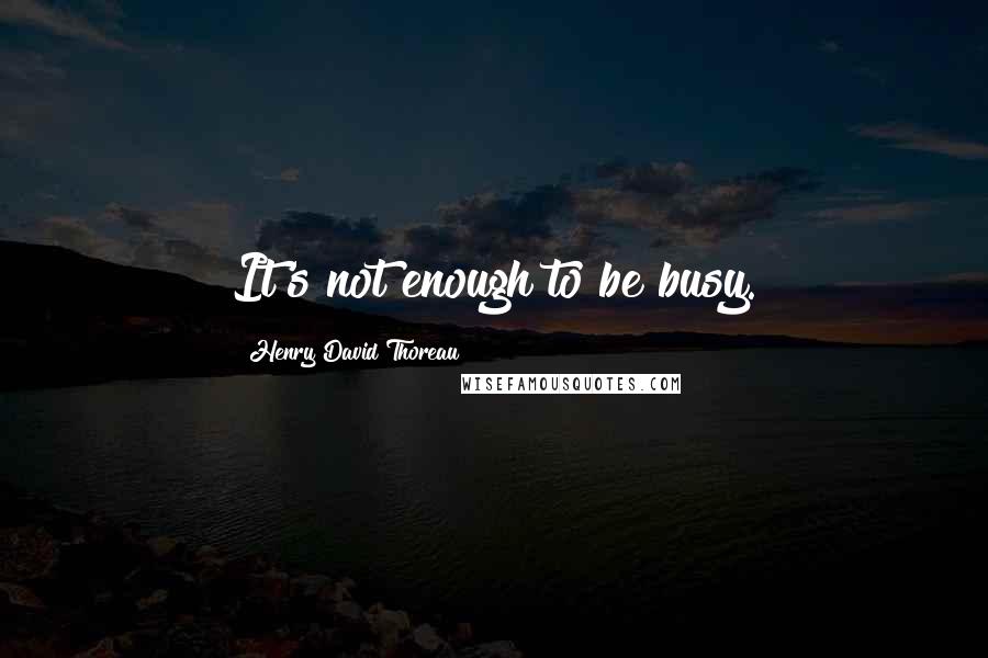 Henry David Thoreau Quotes: It's not enough to be busy.