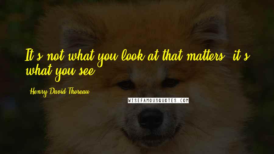 Henry David Thoreau Quotes: It's not what you look at that matters, it's what you see.