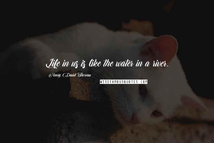 Henry David Thoreau Quotes: Life in us is like the water in a river.