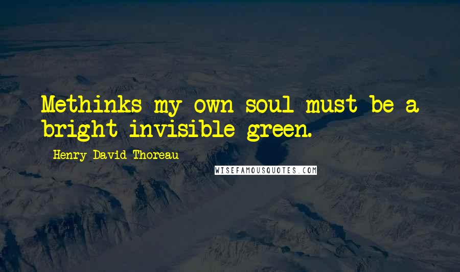 Henry David Thoreau Quotes: Methinks my own soul must be a bright invisible green.