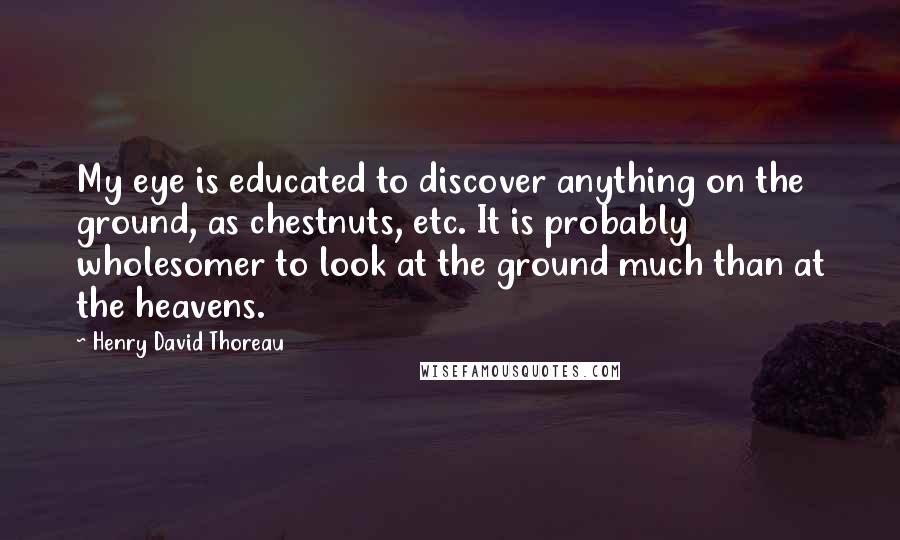 Henry David Thoreau Quotes: My eye is educated to discover anything on the ground, as chestnuts, etc. It is probably wholesomer to look at the ground much than at the heavens.