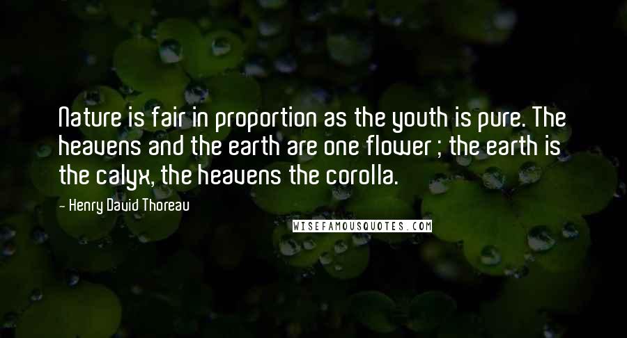 Henry David Thoreau Quotes: Nature is fair in proportion as the youth is pure. The heavens and the earth are one flower ; the earth is the calyx, the heavens the corolla.