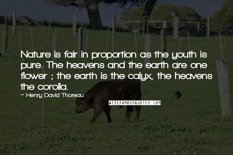 Henry David Thoreau Quotes: Nature is fair in proportion as the youth is pure. The heavens and the earth are one flower ; the earth is the calyx, the heavens the corolla.