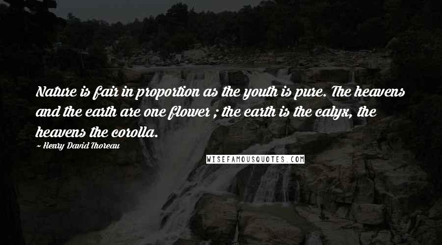 Henry David Thoreau Quotes: Nature is fair in proportion as the youth is pure. The heavens and the earth are one flower ; the earth is the calyx, the heavens the corolla.