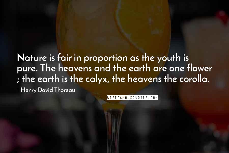 Henry David Thoreau Quotes: Nature is fair in proportion as the youth is pure. The heavens and the earth are one flower ; the earth is the calyx, the heavens the corolla.