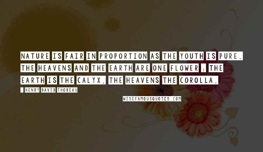 Henry David Thoreau Quotes: Nature is fair in proportion as the youth is pure. The heavens and the earth are one flower ; the earth is the calyx, the heavens the corolla.