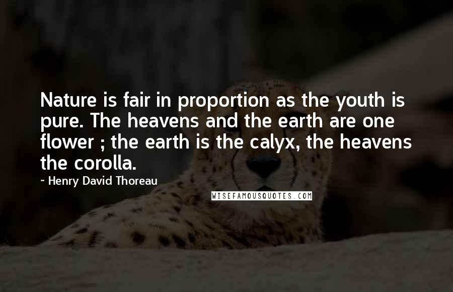 Henry David Thoreau Quotes: Nature is fair in proportion as the youth is pure. The heavens and the earth are one flower ; the earth is the calyx, the heavens the corolla.