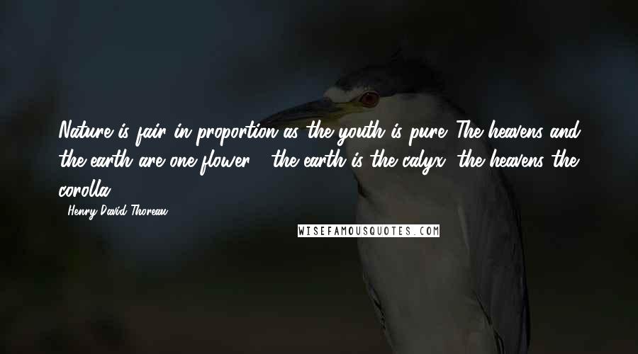 Henry David Thoreau Quotes: Nature is fair in proportion as the youth is pure. The heavens and the earth are one flower ; the earth is the calyx, the heavens the corolla.