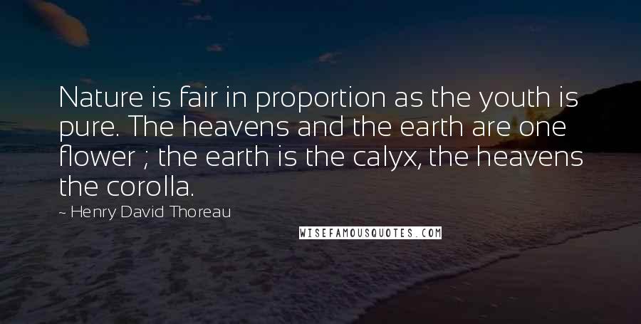 Henry David Thoreau Quotes: Nature is fair in proportion as the youth is pure. The heavens and the earth are one flower ; the earth is the calyx, the heavens the corolla.