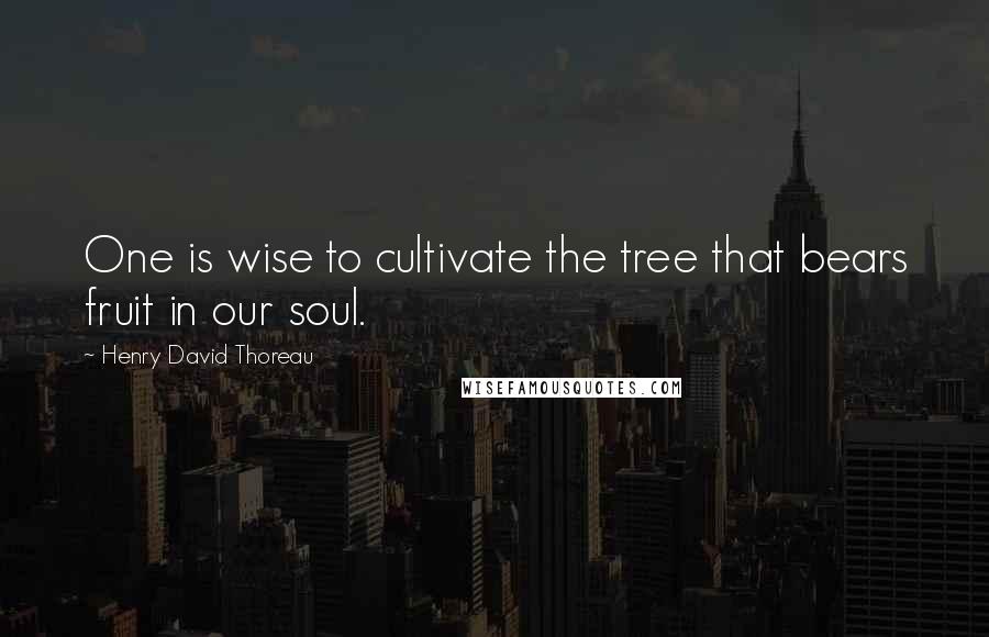 Henry David Thoreau Quotes: One is wise to cultivate the tree that bears fruit in our soul.