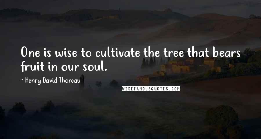 Henry David Thoreau Quotes: One is wise to cultivate the tree that bears fruit in our soul.