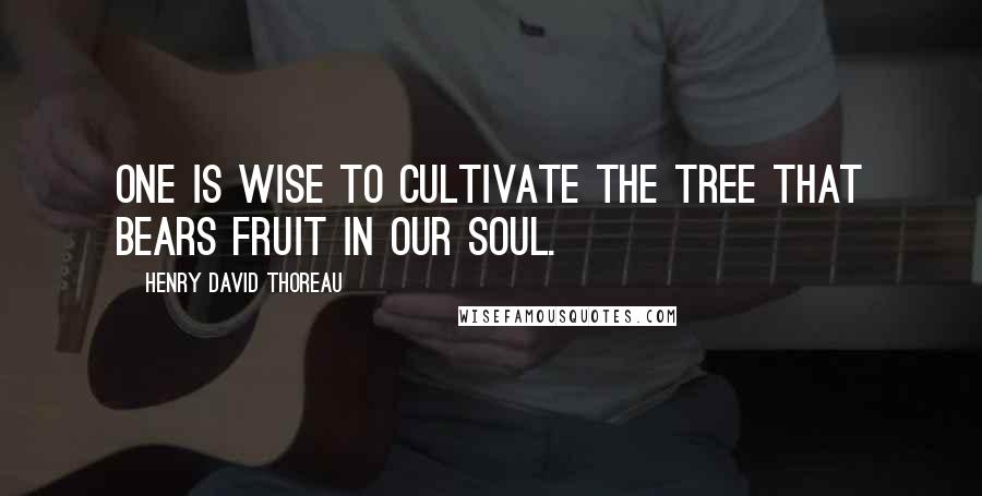 Henry David Thoreau Quotes: One is wise to cultivate the tree that bears fruit in our soul.