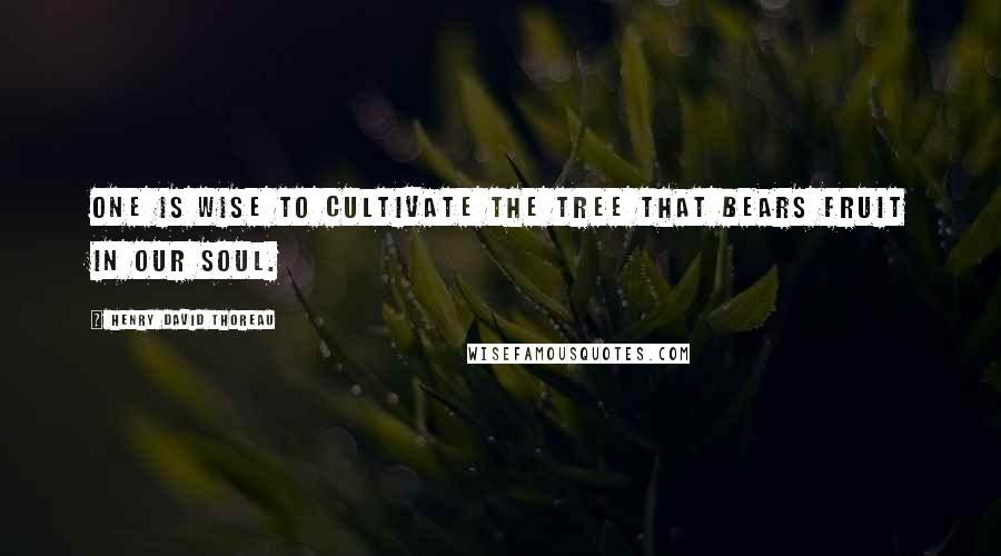 Henry David Thoreau Quotes: One is wise to cultivate the tree that bears fruit in our soul.