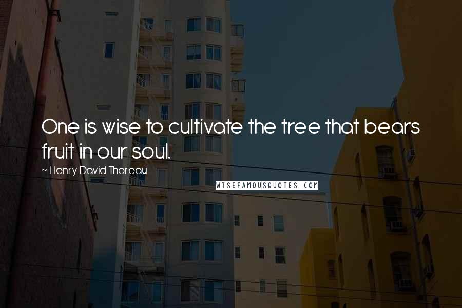 Henry David Thoreau Quotes: One is wise to cultivate the tree that bears fruit in our soul.