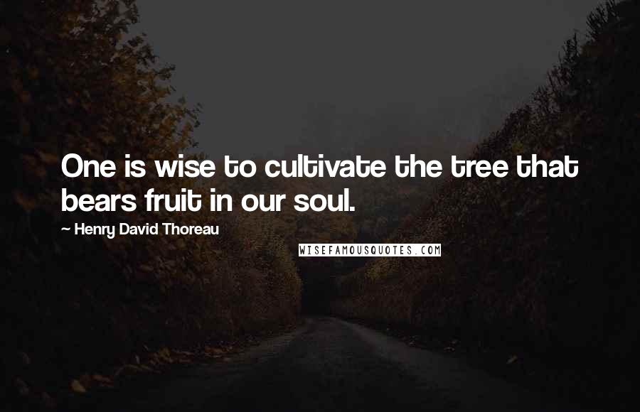 Henry David Thoreau Quotes: One is wise to cultivate the tree that bears fruit in our soul.