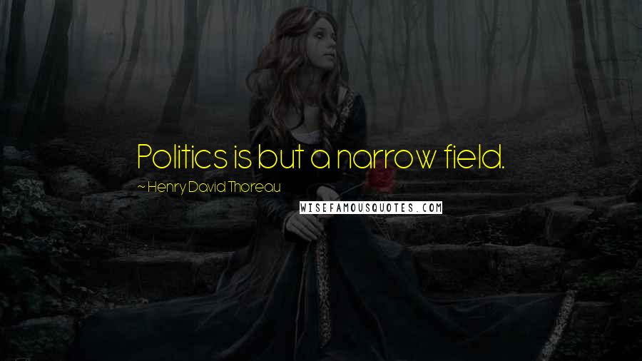 Henry David Thoreau Quotes: Politics is but a narrow field.