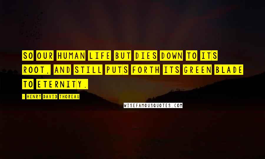 Henry David Thoreau Quotes: So our human life but dies down to its root, and still puts forth its green blade to eternity.