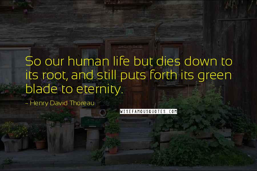 Henry David Thoreau Quotes: So our human life but dies down to its root, and still puts forth its green blade to eternity.