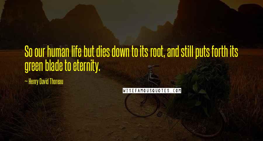 Henry David Thoreau Quotes: So our human life but dies down to its root, and still puts forth its green blade to eternity.