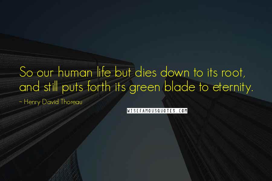 Henry David Thoreau Quotes: So our human life but dies down to its root, and still puts forth its green blade to eternity.