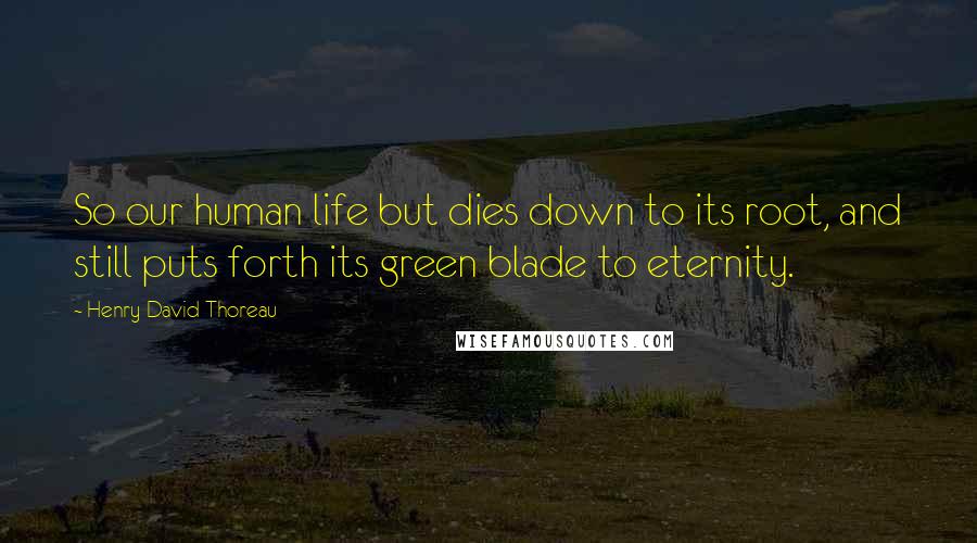 Henry David Thoreau Quotes: So our human life but dies down to its root, and still puts forth its green blade to eternity.