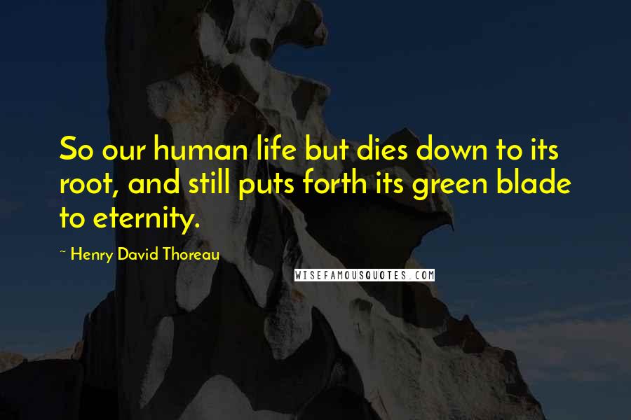 Henry David Thoreau Quotes: So our human life but dies down to its root, and still puts forth its green blade to eternity.