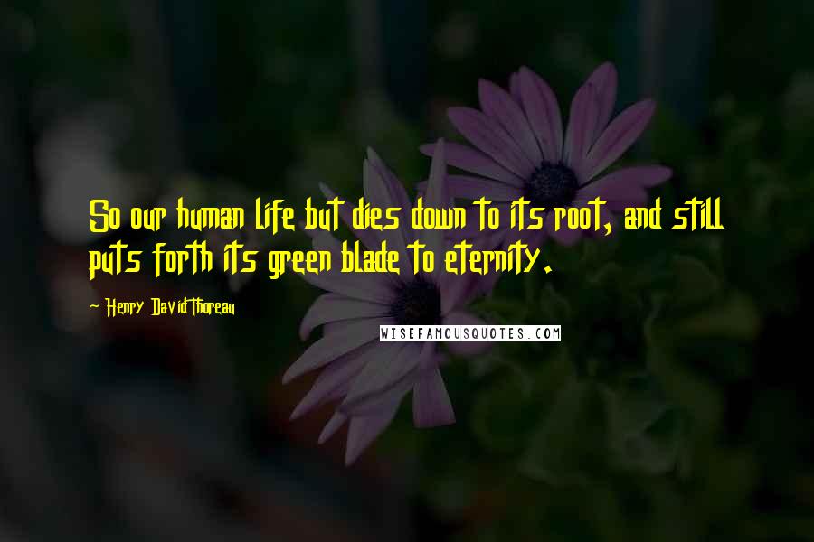 Henry David Thoreau Quotes: So our human life but dies down to its root, and still puts forth its green blade to eternity.