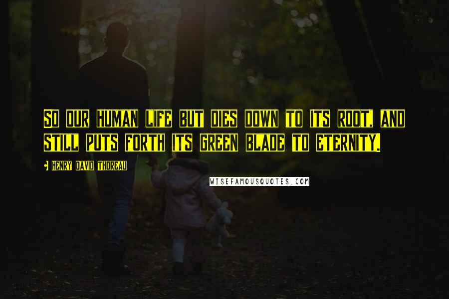 Henry David Thoreau Quotes: So our human life but dies down to its root, and still puts forth its green blade to eternity.