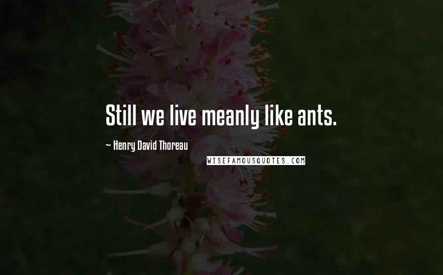 Henry David Thoreau Quotes: Still we live meanly like ants.