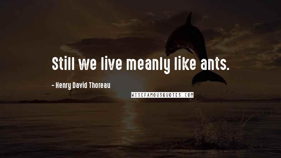 Henry David Thoreau Quotes: Still we live meanly like ants.