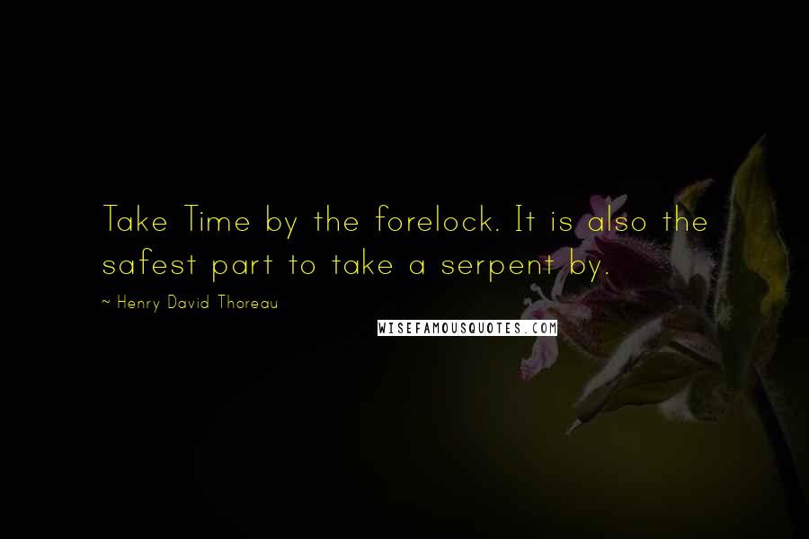 Henry David Thoreau Quotes: Take Time by the forelock. It is also the safest part to take a serpent by.