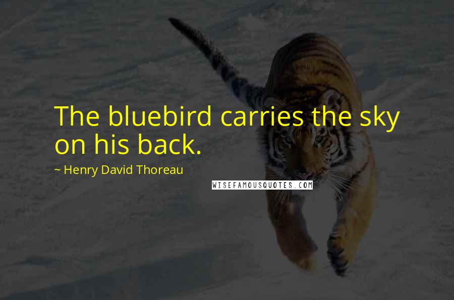 Henry David Thoreau Quotes: The bluebird carries the sky on his back.