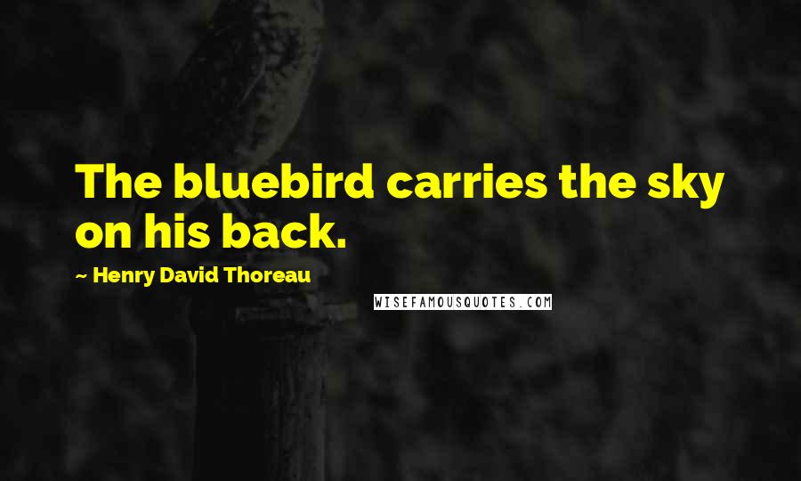 Henry David Thoreau Quotes: The bluebird carries the sky on his back.