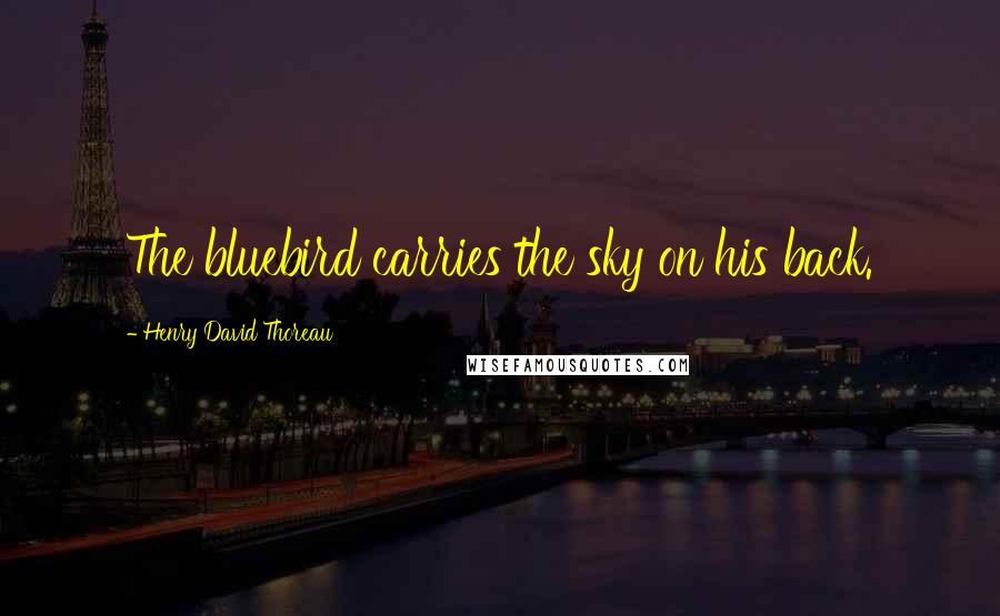 Henry David Thoreau Quotes: The bluebird carries the sky on his back.