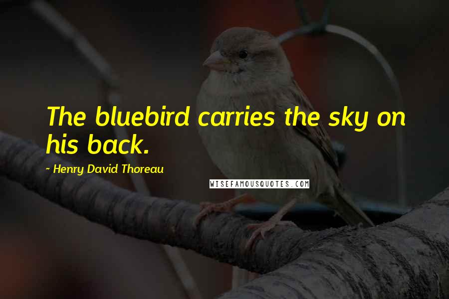 Henry David Thoreau Quotes: The bluebird carries the sky on his back.