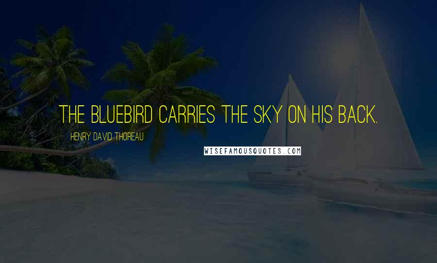 Henry David Thoreau Quotes: The bluebird carries the sky on his back.