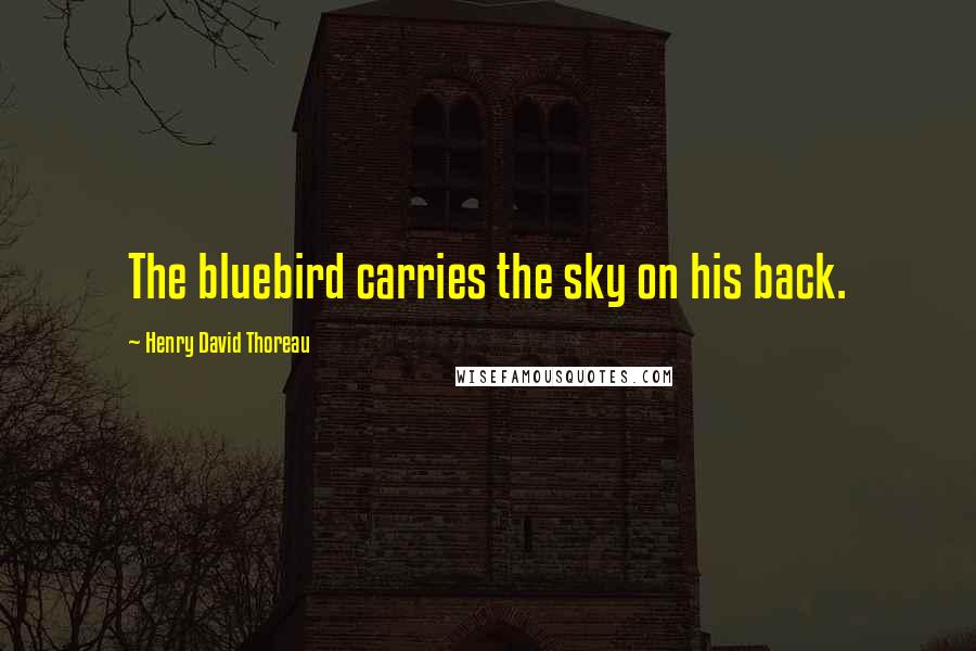 Henry David Thoreau Quotes: The bluebird carries the sky on his back.