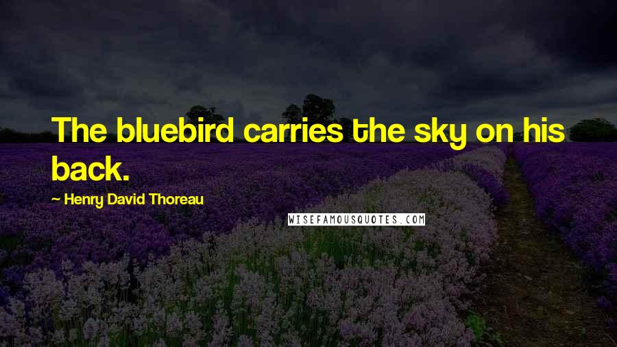 Henry David Thoreau Quotes: The bluebird carries the sky on his back.