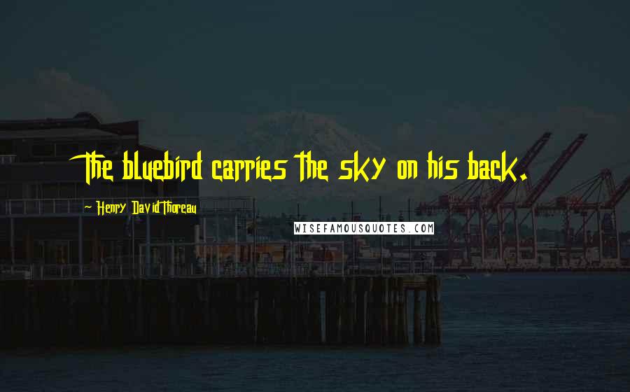 Henry David Thoreau Quotes: The bluebird carries the sky on his back.