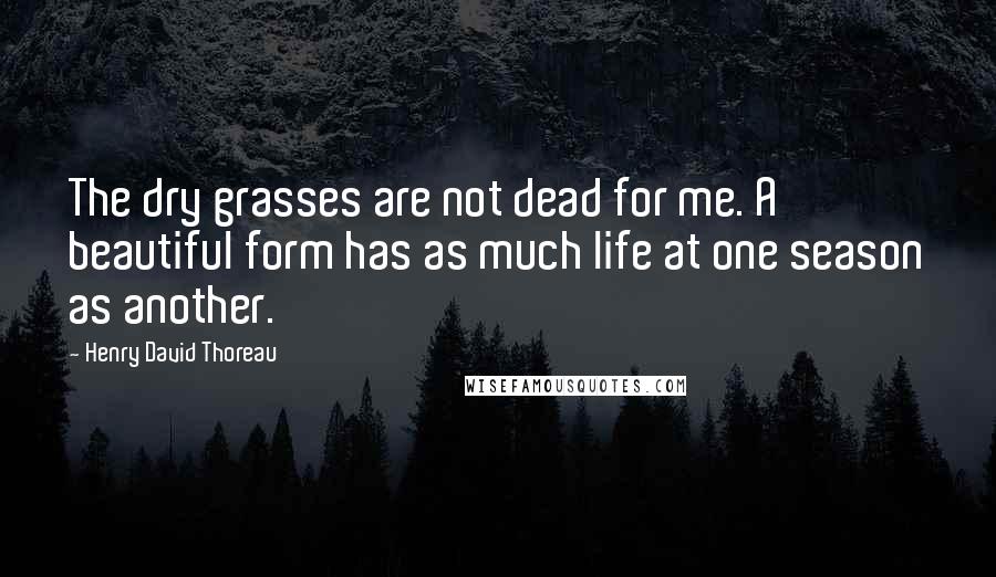 Henry David Thoreau Quotes: The dry grasses are not dead for me. A beautiful form has as much life at one season as another.