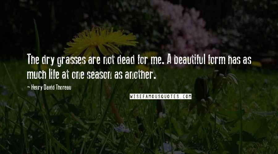 Henry David Thoreau Quotes: The dry grasses are not dead for me. A beautiful form has as much life at one season as another.