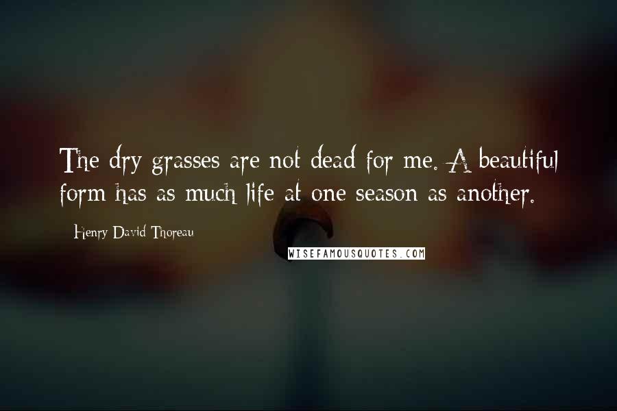 Henry David Thoreau Quotes: The dry grasses are not dead for me. A beautiful form has as much life at one season as another.