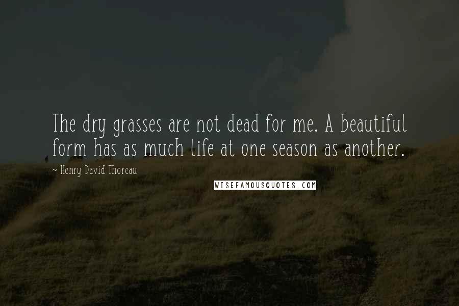 Henry David Thoreau Quotes: The dry grasses are not dead for me. A beautiful form has as much life at one season as another.