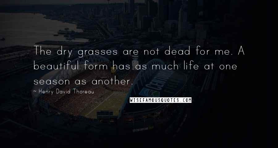 Henry David Thoreau Quotes: The dry grasses are not dead for me. A beautiful form has as much life at one season as another.