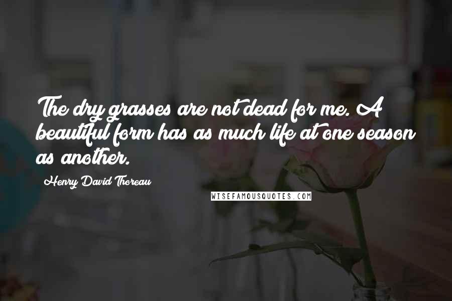 Henry David Thoreau Quotes: The dry grasses are not dead for me. A beautiful form has as much life at one season as another.